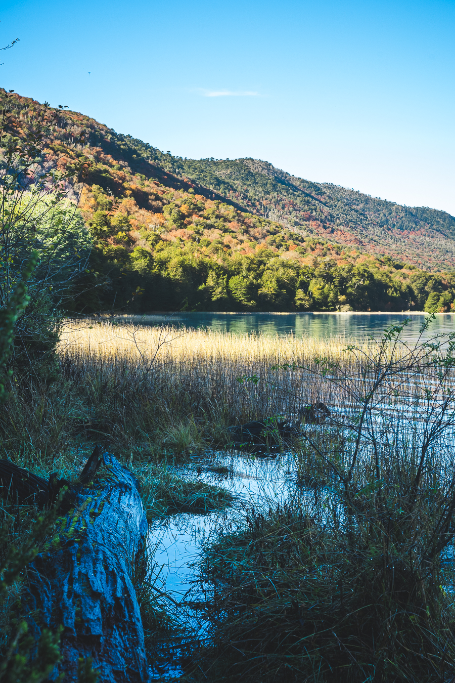 Lago azul y ladera boscosa